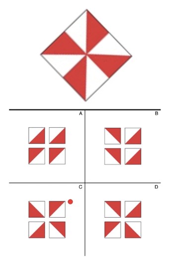 Example Question 3