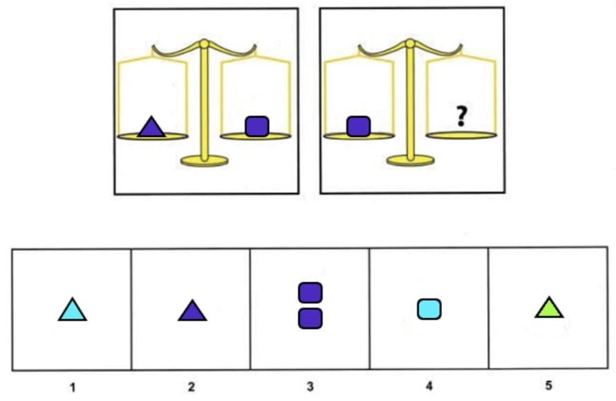 Example Question 2