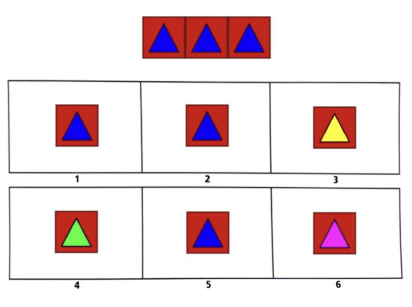 Example Question 1